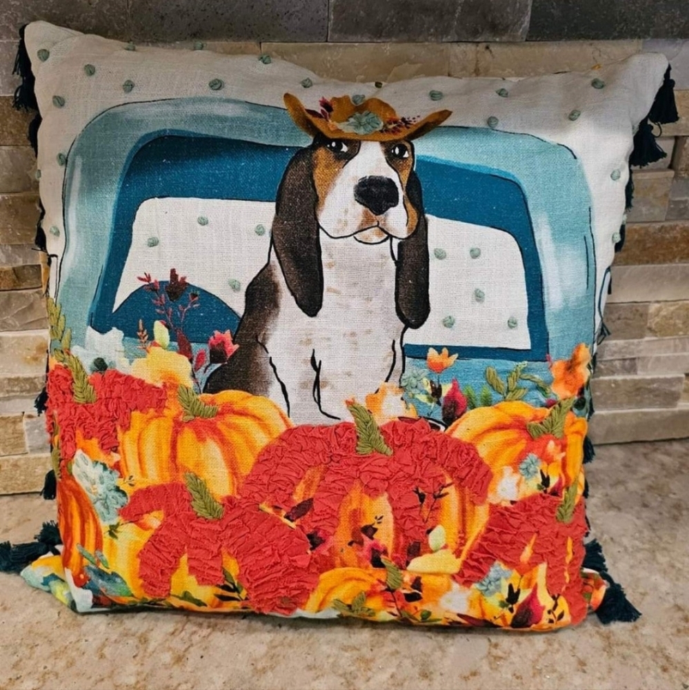 Pioneer Woman Charlie Pillow